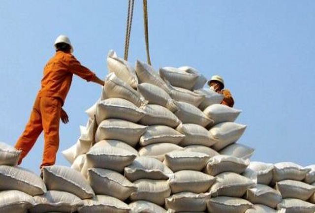 حذف ممنوعیت واردات برنج در فصل برداشت شالیزار‌ها