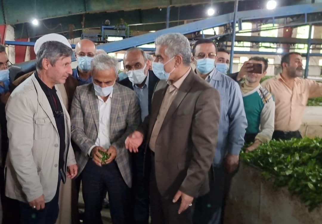 خبرتصویری سفر استاندار گیلان به لنگرود و بازدید از یک کارخانه چایسازی
